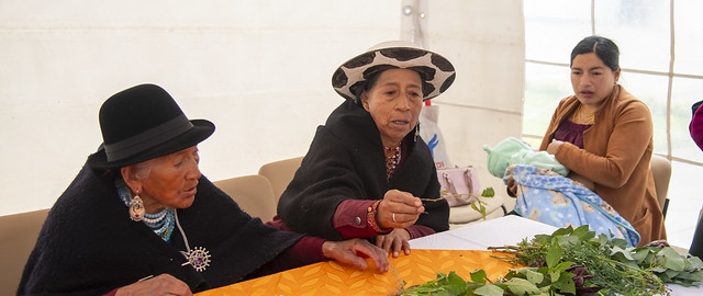 Inti Raymi de las universidades y diversidades 2025. Jornadas de curación y saberes Inti Raymi de las universidades y diversidades 2025. Jornadas de curación y saberes