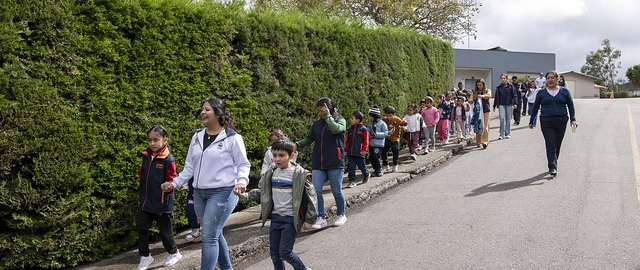 Colonias Vacacionales UTPL 2025