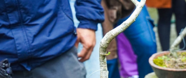 Liter-natura: escritura desde la experiencia con la naturaleza