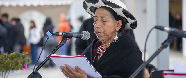 Inti Raymi de las universidades y diversidades 2025. Jornadas de curación y saberes Inti Raymi de las universidades y diversidades 2025. Jornadas de curación y saberes