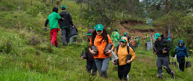 Reforestación en Cajanuma en alianza con Cascos Verdes Reforestación en Cajanuma en alianza con Cascos Verdes