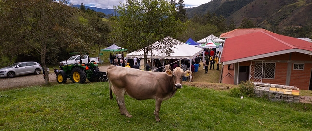 Feria Agropecuaria y VIII Concurso Semilla de Oro Feria Agropecuaria y VIII Concurso Semilla de Oro