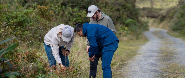 Aldea Global | Taller práctico de Genética con estudiantes de Ingeniería Agropecuaria