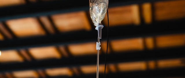 "Anhelo de Vivir": UTPL presente en la Bienal de Cuenca 2025