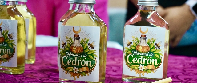 Bebidas herbales fermentadas