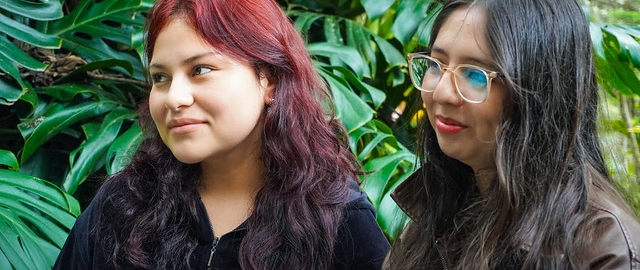 Liter-natura: escritura desde la experiencia con la naturaleza