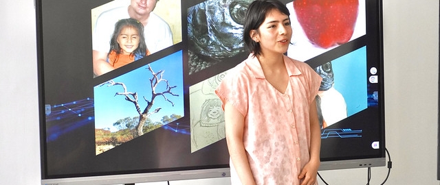 Creación de un Portfolio Digital para obra pictórica con identidad local