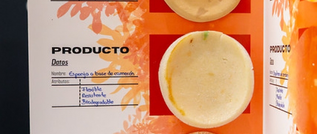 Conexia: De residuo a recurso – Innovación en envases y materiales