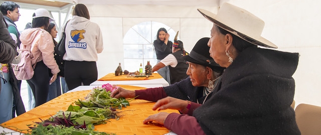 Inti Raymi de las universidades y diversidades 2025. Jornadas de curación y saberes Inti Raymi de las universidades y diversidades 2025. Jornadas de curación y saberes