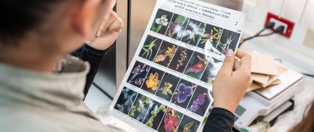 Internacionalización | Carrera de Biología Internacionalización | Carrera de Biología