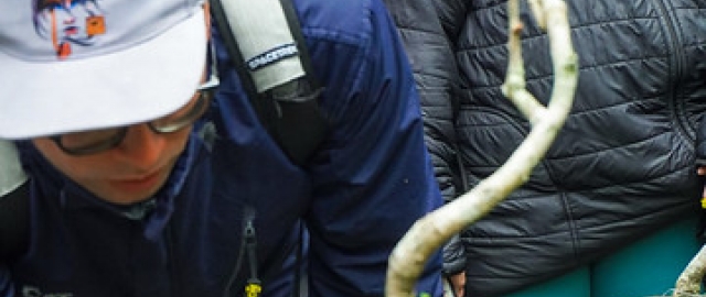 Liter-natura: escritura desde la experiencia con la naturaleza