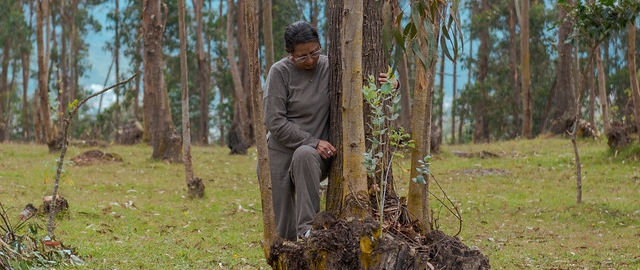 IntegralMente | Caminata Terapeútica IntegralMente | Caminata Terapeútica