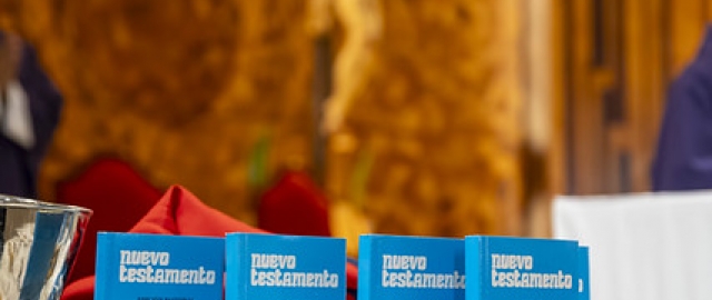 Misión Idente Profesional Taquil 2026