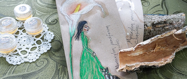 De la tradición a la bioeconomía: Propuesta para bioemprendimientos sostenibles basados en productos no maderables del Tundo.