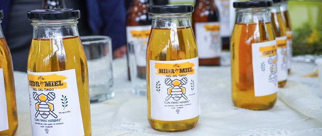 De la tradición a la bioeconomía: Propuesta para bioemprendimientos sostenibles basados en productos no maderables del Tundo.