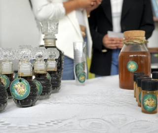 Shots & elixires herbales