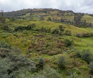 Reforestación en Cajanuma en alianza con Cascos Verdes Reforestación en Cajanuma en alianza con Cascos Verdes