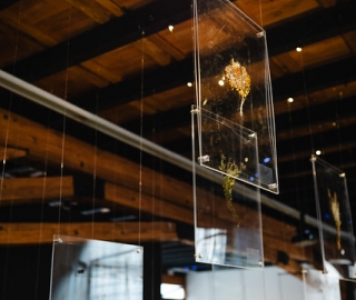 "Anhelo de Vivir": UTPL presente en la Bienal de Cuenca 2025