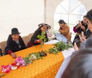 Inti Raymi de las universidades y diversidades 2025. Jornadas de curación y saberes Inti Raymi de las universidades y diversidades 2025. Jornadas de curación y saberes