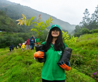 Reforestación en Cajanuma en alianza con Cascos Verdes
