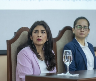 “Programa Lúdico-Terapéutico Basado en Títeres”