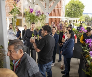 Exposición de Orquídeas Ecuagenera Exposición de Orquídeas Ecuagenera