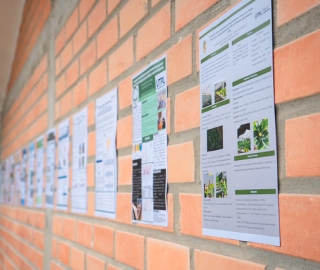 Feria Agropecuaria y VIII Concurso Semilla de Oro