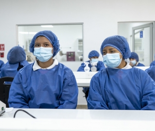 Talleres Académicos de Bioquímica y Farmacia y Geología