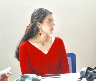 Creación de un Portfolio Digital para obra pictórica con identidad local