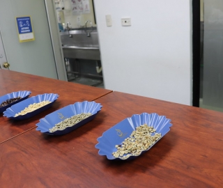 Talleres Académicos de las carreras de Alimentos, Biología y Finanzas Talleres Académicos de las carreras de Alimentos, Biología y Finanzas
