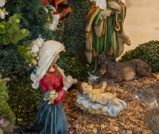 Navidad UTPL 2025 | Novena  Estudiantil