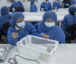 Talleres Académicos de Bioquímica y Farmacia y Geología Talleres Académicos de Bioquímica y Farmacia y Geología