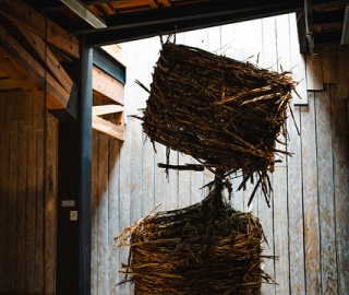 "Anhelo de Vivir": UTPL presente en la Bienal de Cuenca 2025