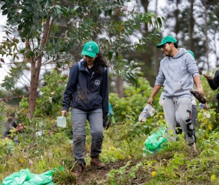 Reforestación en Cajanuma en alianza con Cascos Verdes