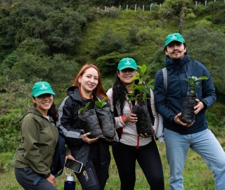 Reforestación en Cajanuma en alianza con Cascos Verdes