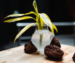 "Anhelo de Vivir": UTPL presente en la Bienal de Cuenca 2025