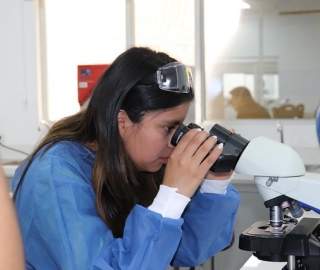 Talleres Académicos dirigidos a estudiantes de bachillerato de Loja Talleres Académicos dirigidos a estudiantes de bachillerato de Loja