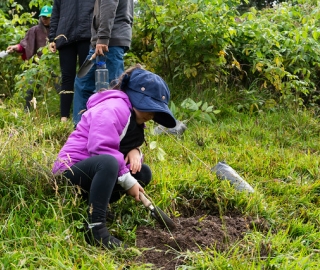Reforestación en Cajanuma en alianza con Cascos Verdes