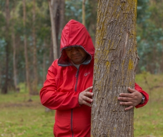 IntegralMente | Caminata Terapeútica