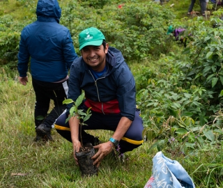 Reforestación en Cajanuma en alianza con Cascos Verdes