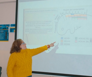 Proyecto de prevención de anomalías congénitas. Una estrategia de aprendizaje aplicado a la asignatura de embriología