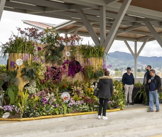 Exposición de Orquídeas Ecuagenera Exposición de Orquídeas Ecuagenera