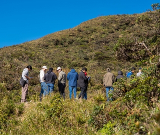 Aldea Global | Taller práctico de Genética con estudiantes de Ingeniería Agropecuaria Aldea Global | Taller práctico de Genética con estudiantes de Ingeniería Agropecuaria