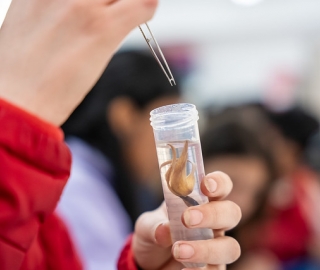 Internacionalización | Carrera de Biología Internacionalización | Carrera de Biología