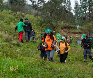 Reforestación en Cajanuma en alianza con Cascos Verdes Reforestación en Cajanuma en alianza con Cascos Verdes