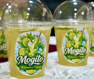 Bebidas herbales fermentadas