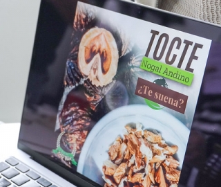 De la tradición a la bioeconomía: Propuesta para bioemprendimientos sostenibles basados en productos no maderables del Tundo.