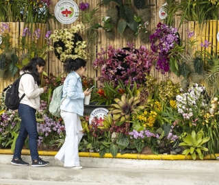 Exposición de Orquídeas Ecuagenera
