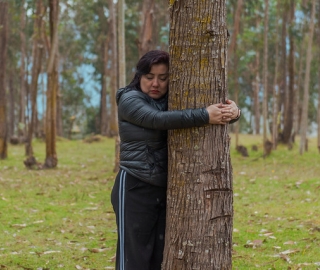 IntegralMente | Caminata Terapeútica IntegralMente | Caminata Terapeútica