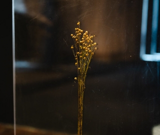 "Anhelo de Vivir": UTPL presente en la Bienal de Cuenca 2025